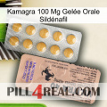 Kamagra 100 Mg Gelée Orale Sildénafil 41